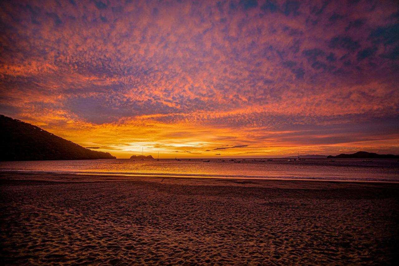 Hotel Bosque Del Mar Playa Hermosa Playa Hermosa  Exteriér fotografie